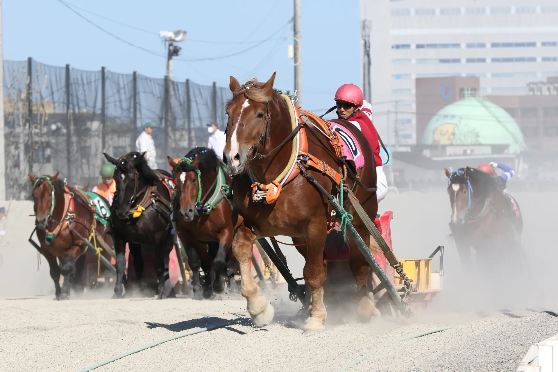🐎 오비히로 경마장 이미지 4